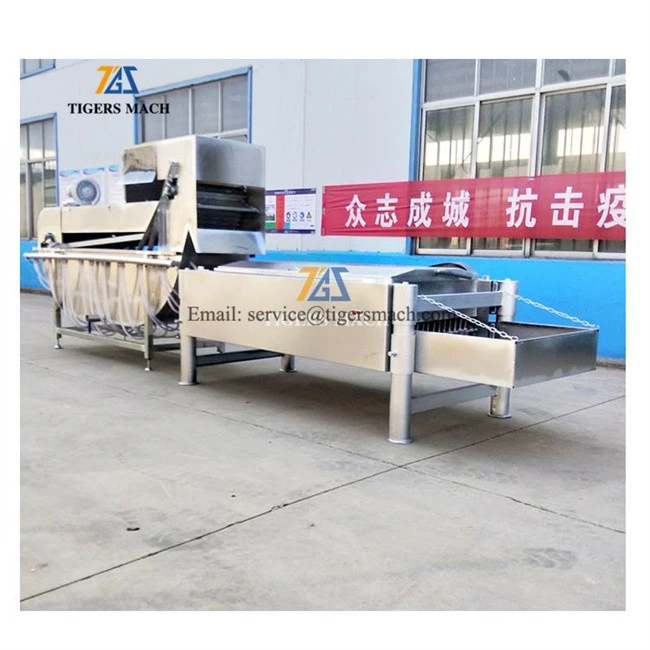 High quality chicken scalding plucking machine to remove feather in slaughtering, chicken feather removing equipment price (3)