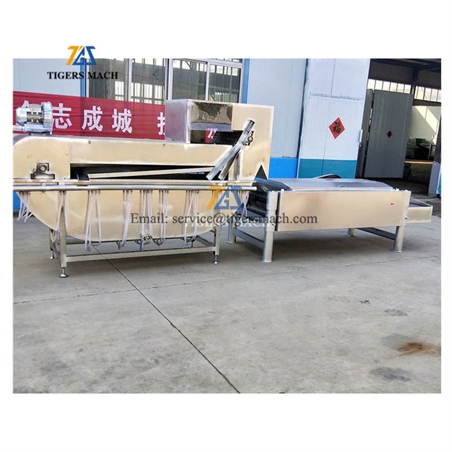High efficiency pigeon goose pluckers feather scalding plucking machine from chicken slaughter machine (2)