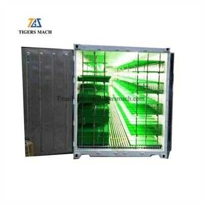 Hydroponics Fodder Sproted Magni