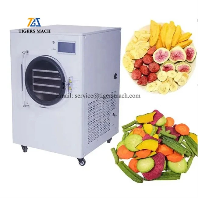 Fruit And Vegetable Vacuum Freeze Dryer Machine in Food Processing suppliers